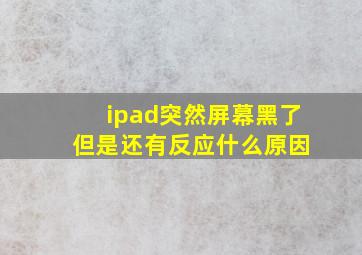 ipad突然屏幕黑了 但是还有反应什么原因